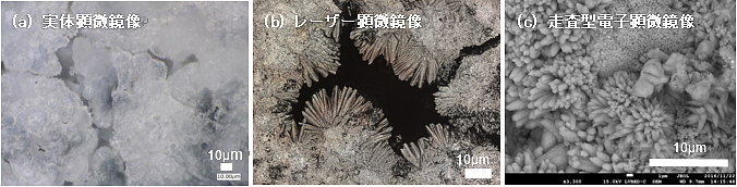 讓我們用顯微鏡看看燃燒的垃圾 讓我們用顯微鏡看看燃燒的垃圾