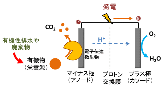 什么是微生物燃料電池？